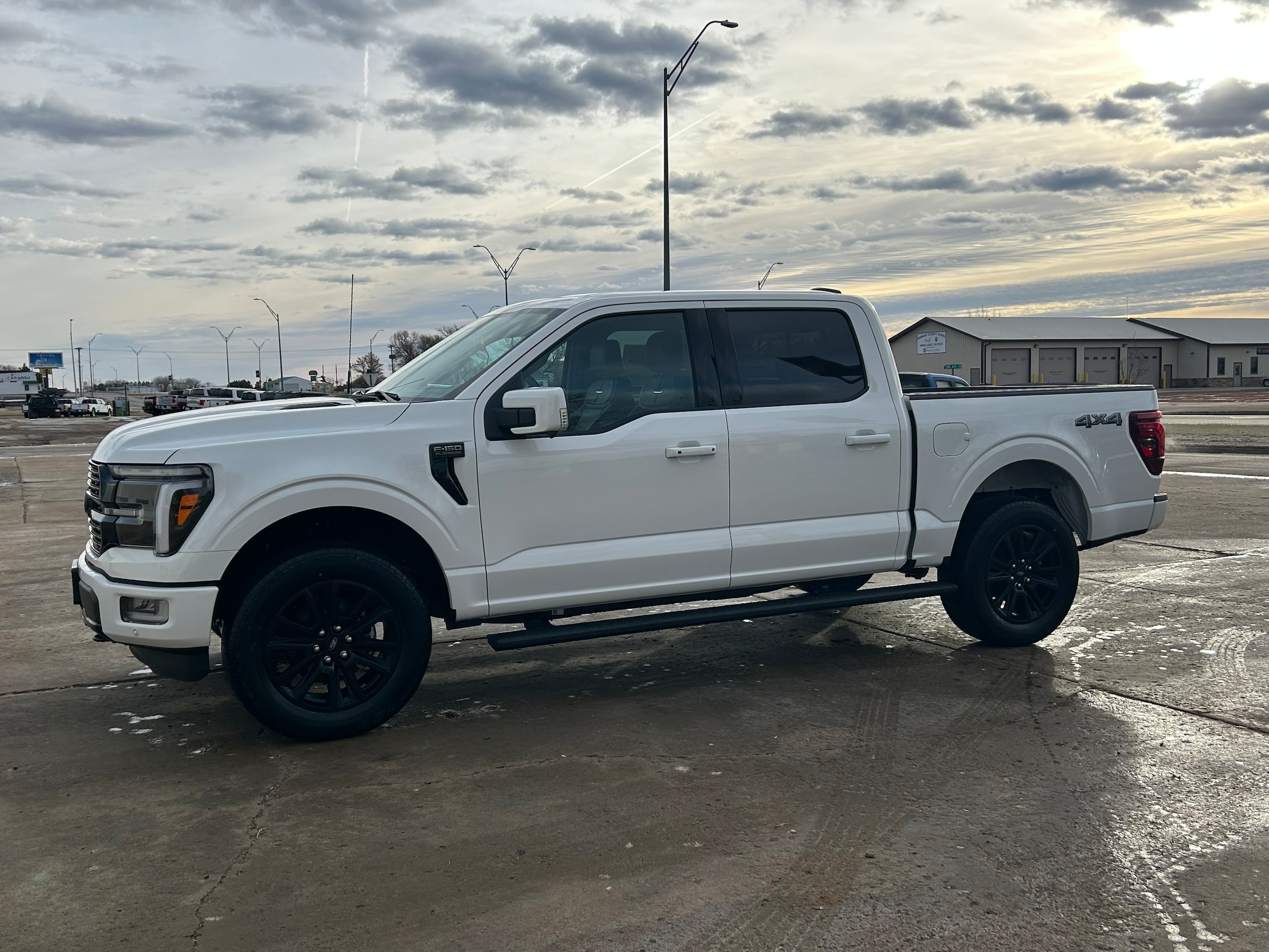 2025 Ford F-150 Platinum's photo