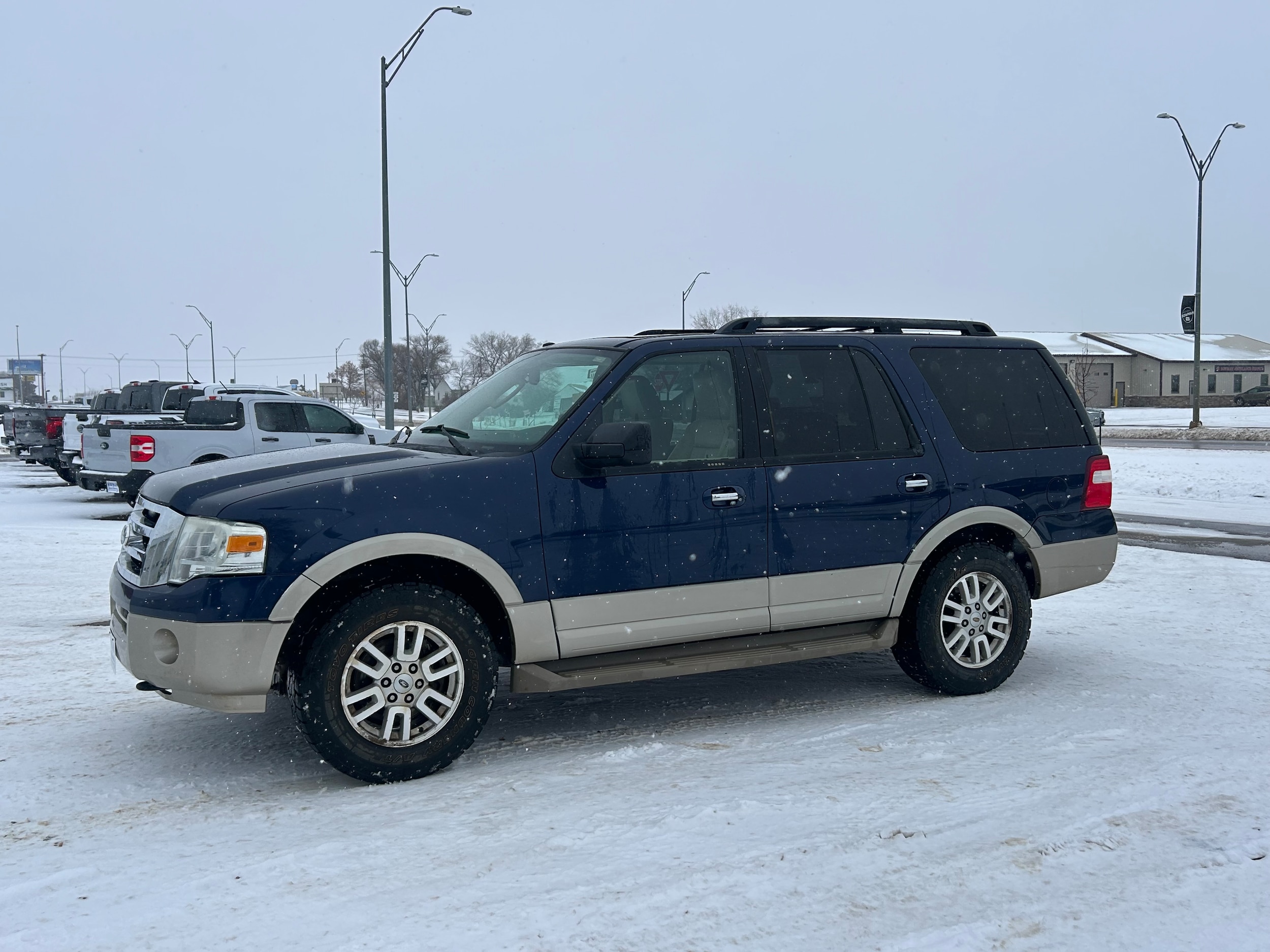 2009 Ford Expedition Eddie Bauer