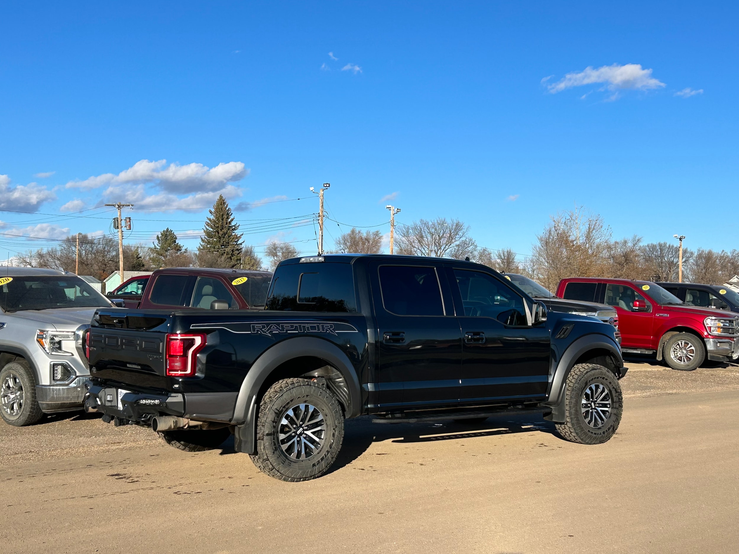 Used 2020 Ford F-150 Raptor with VIN 1FTFW1RG3LFA17925 for sale in Bowman, ND