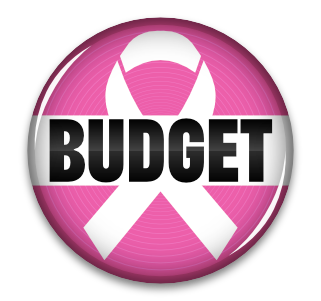 Budget Inventory