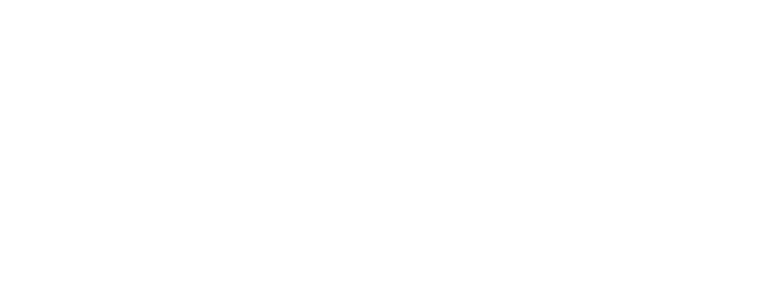 Boyd-Chevrolet-Secondary-white.png