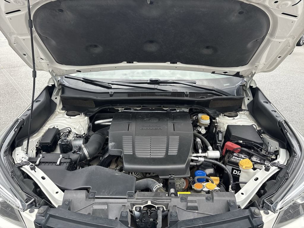 View 31