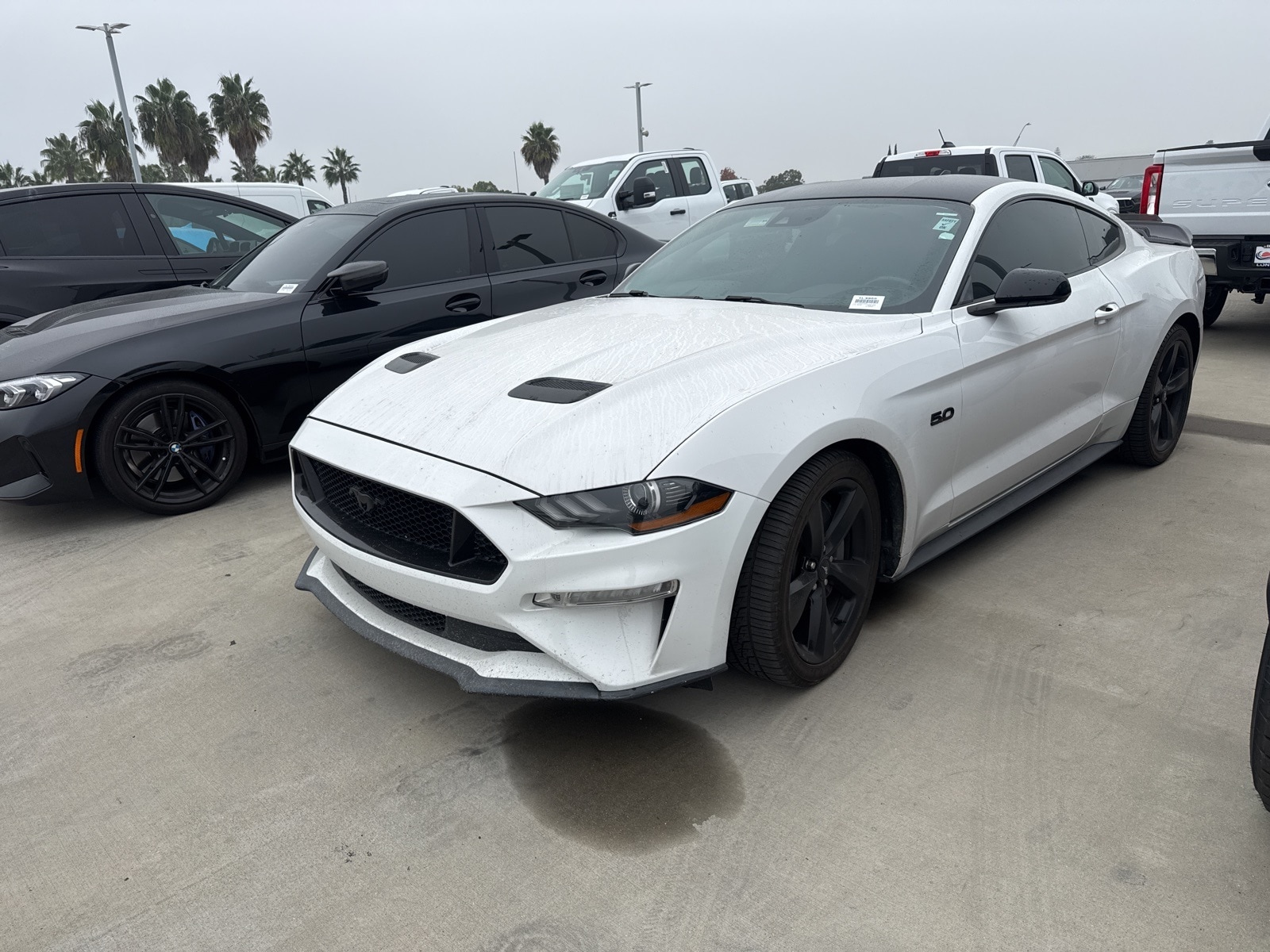 2021 Ford Mustang GT's photo