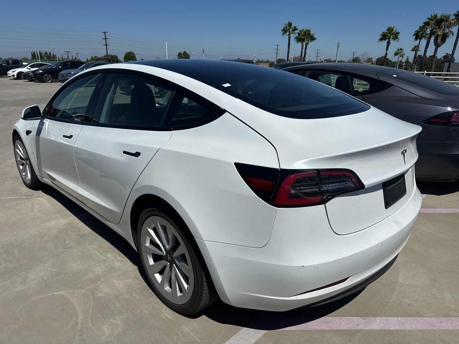 Used 2021 Tesla Model 3 Base with VIN 5YJ3E1EAXMF041989 for sale in Long Beach, CA