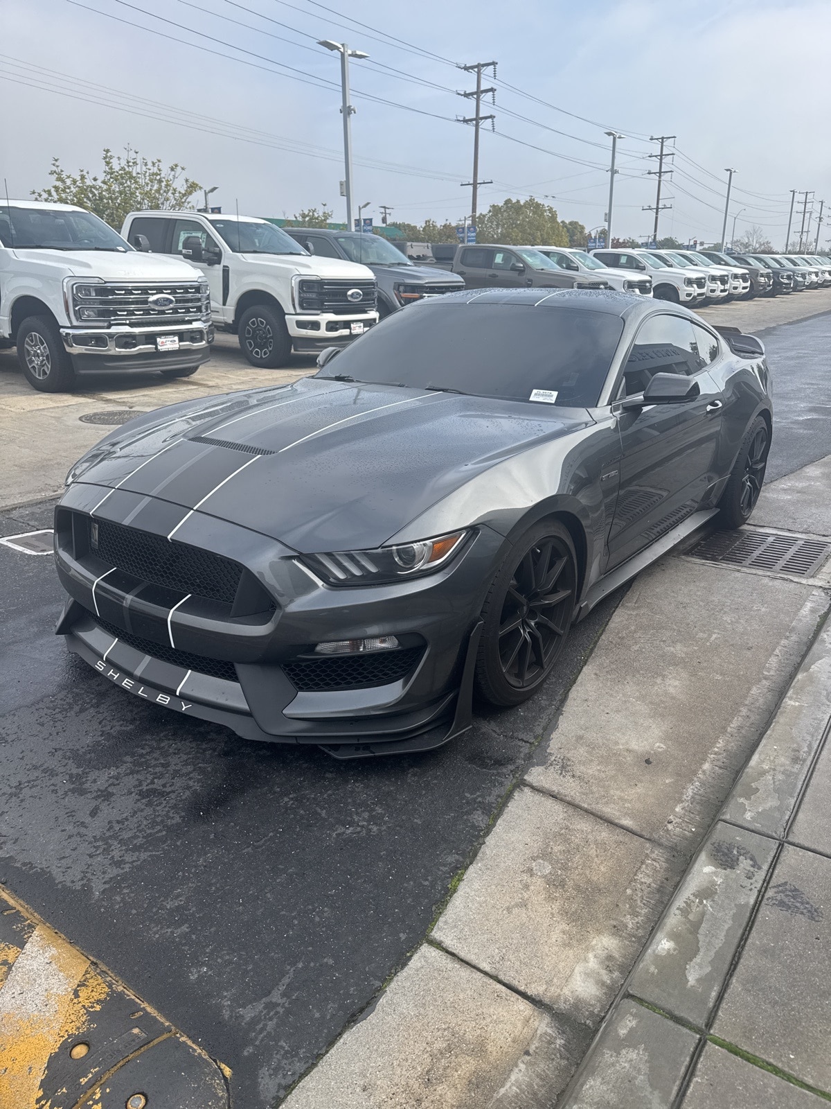 2017 Ford Mustang Shelby GT350's photo