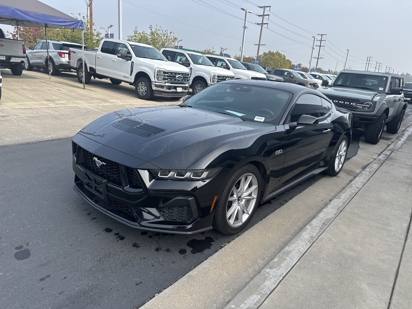 2025 Ford Mustang GT Premium's photo