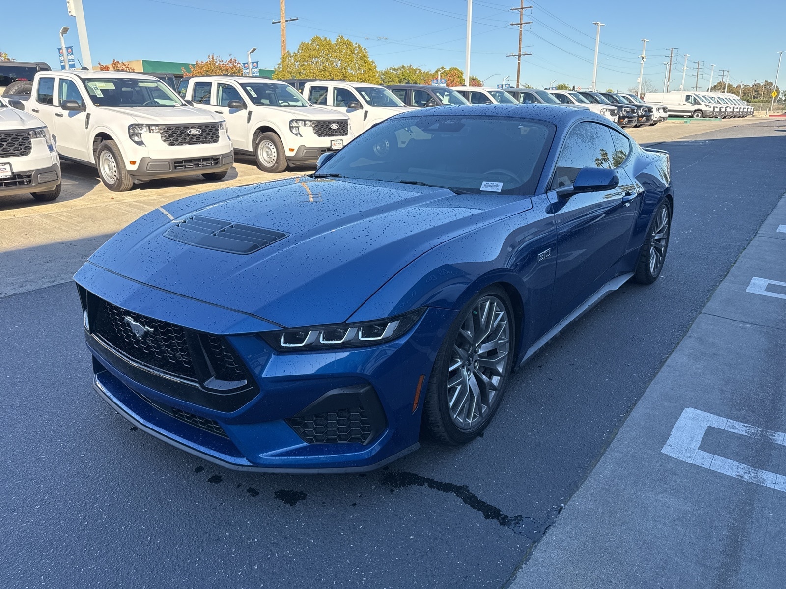 2024 Ford Mustang Mach 1's photo