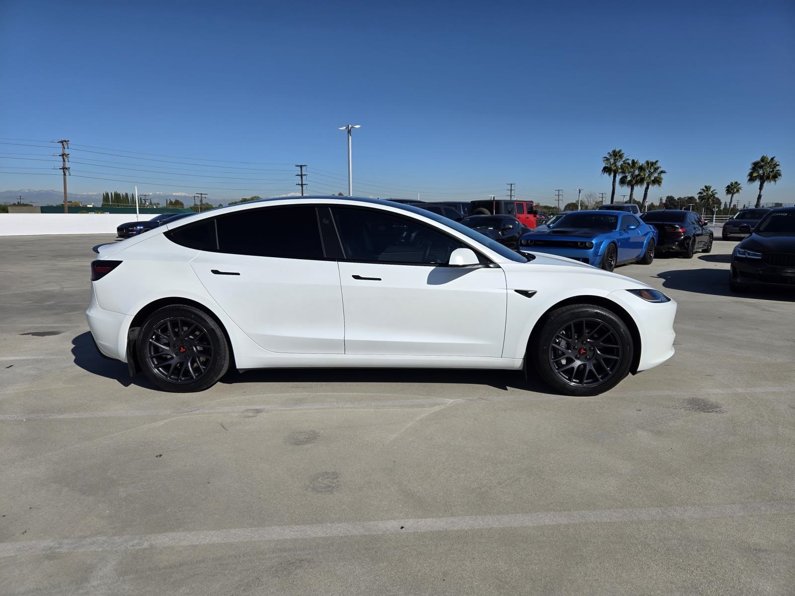 Used 2024 Tesla Model 3 Base with VIN 5YJ3E1EA3RF740341 for sale in Long Beach, CA