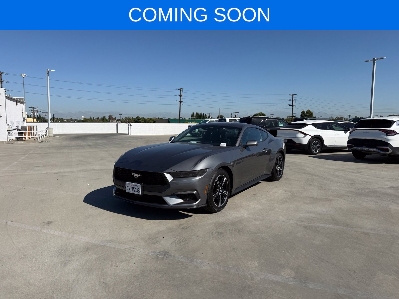  Ford Mustang
