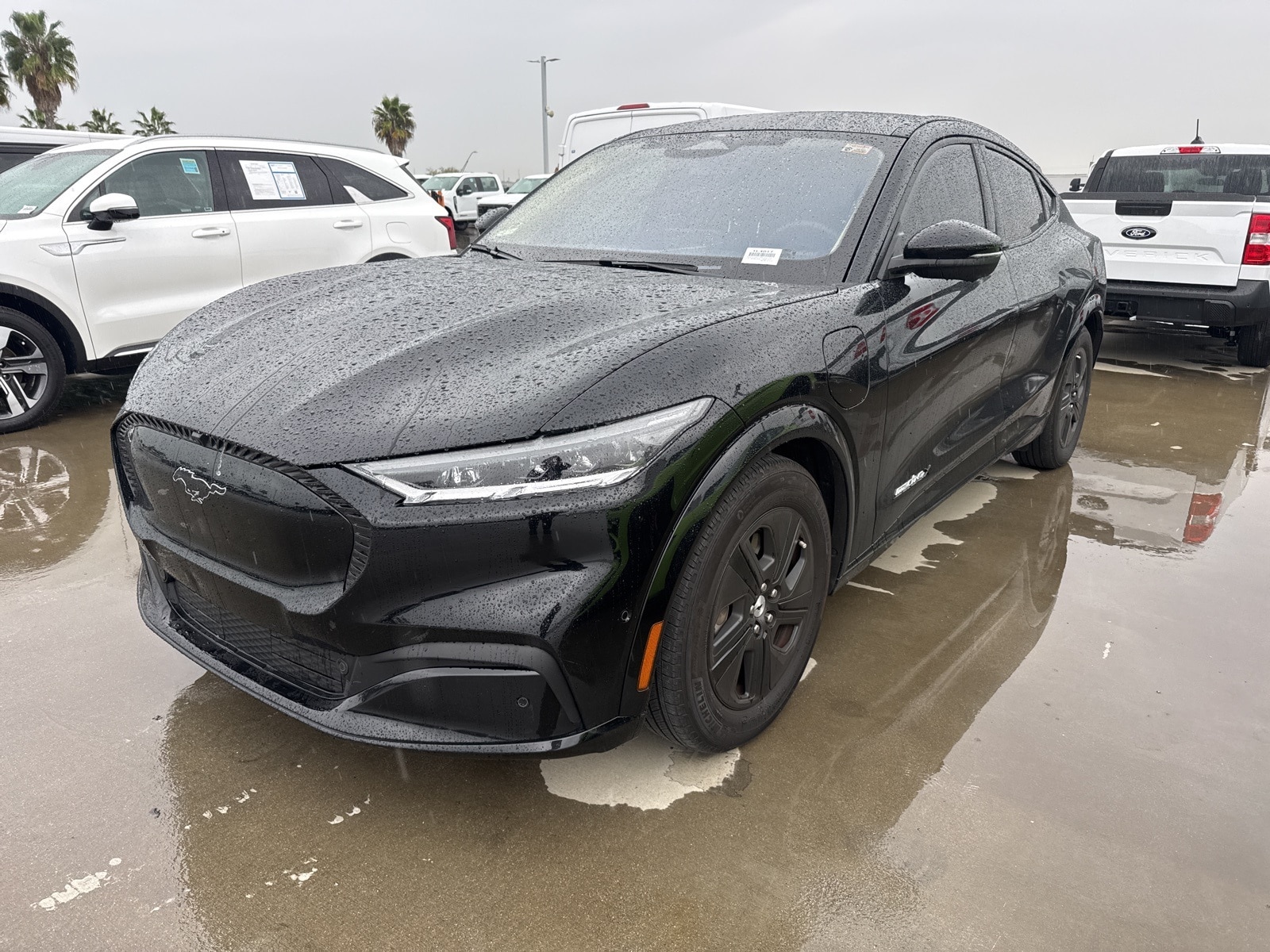 2023 Ford Mustang Mach-E California Route 1 AWD's photo