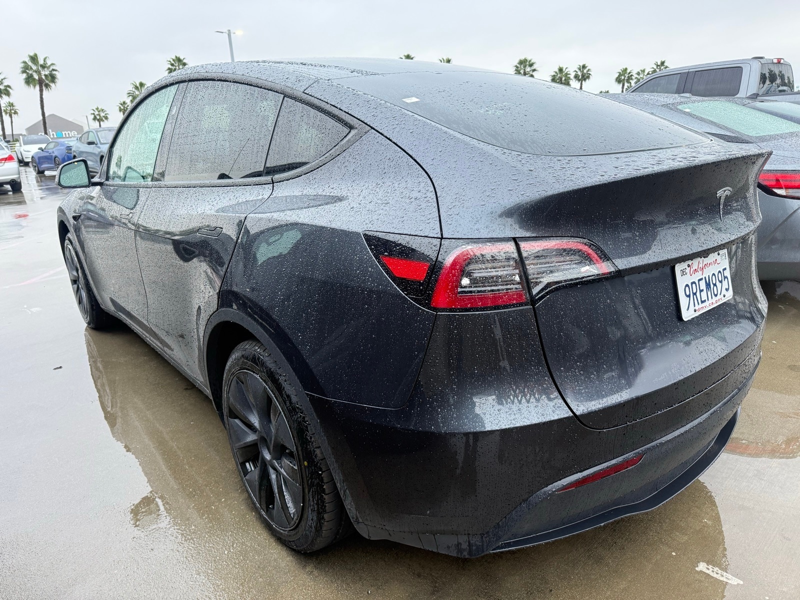 Used 2025 Tesla Model Y Long Range with VIN 7SAYGDED2SF279136 for sale in Northfield, Minnesota