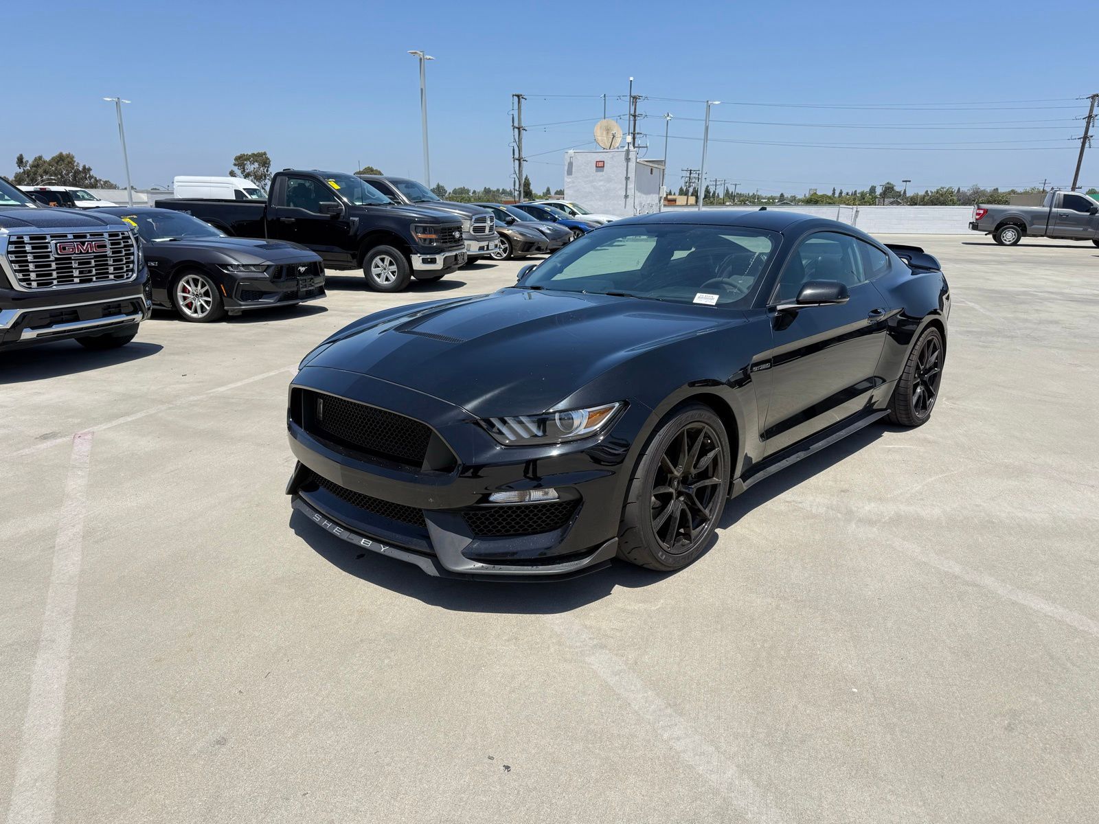 2020 Ford Mustang Shelby GT350's photo