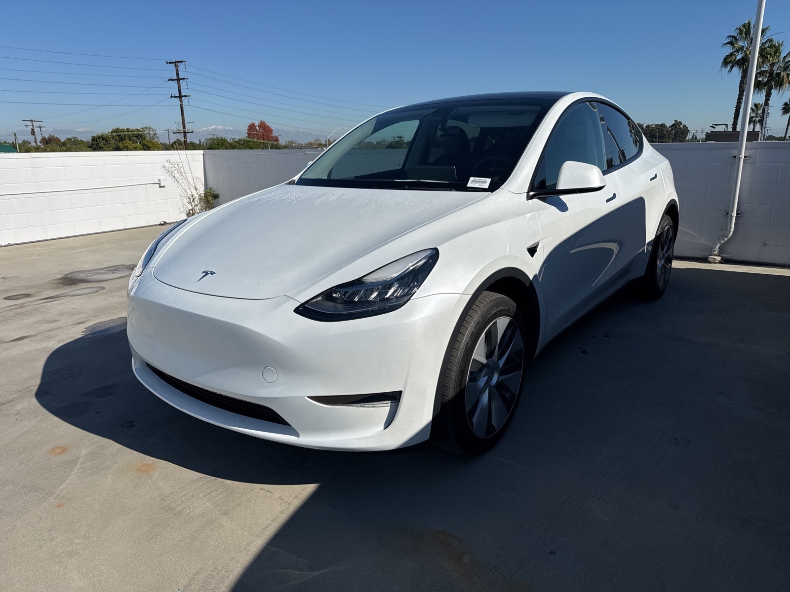 2023 Tesla Model Y Long Range's photo