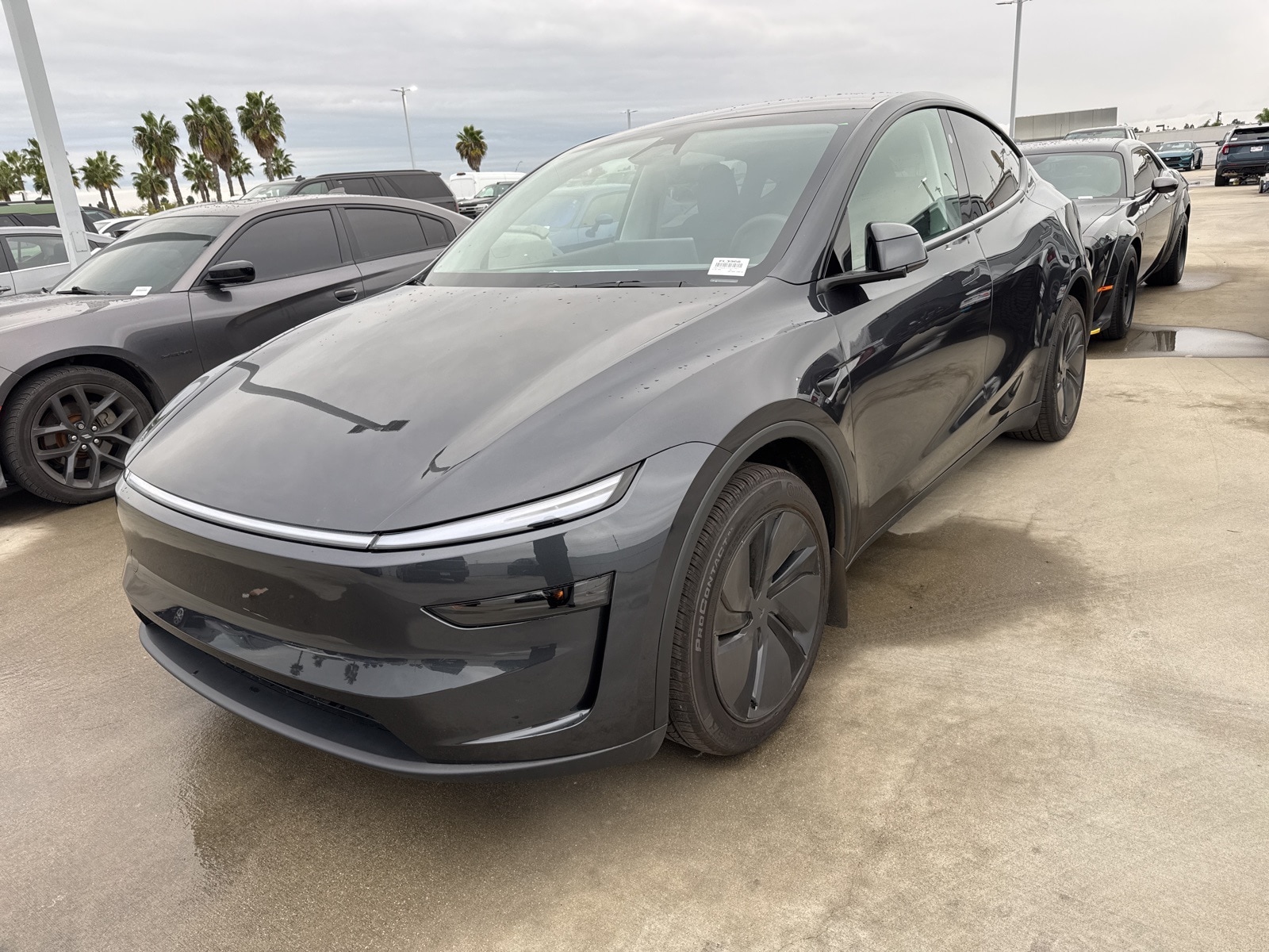 2026 Tesla Model Y Long Range's photo