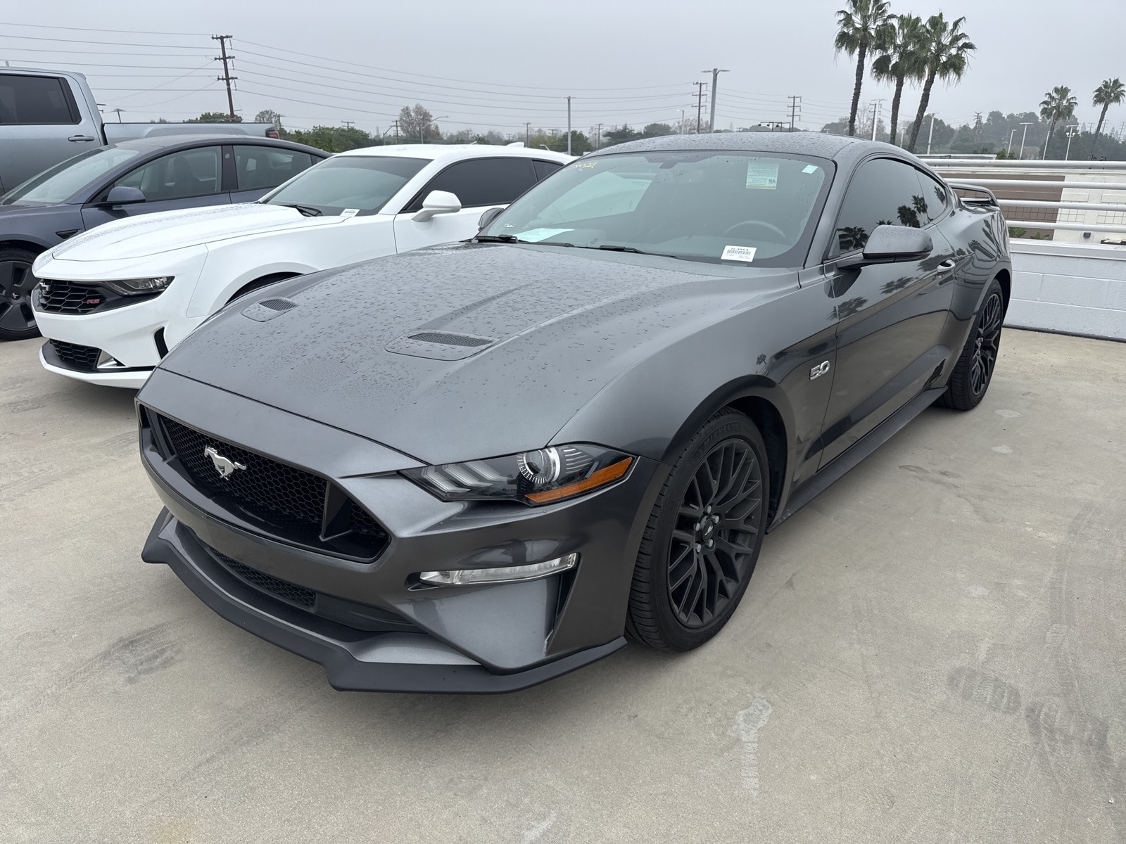 2018 Ford Mustang GT Premium's photo
