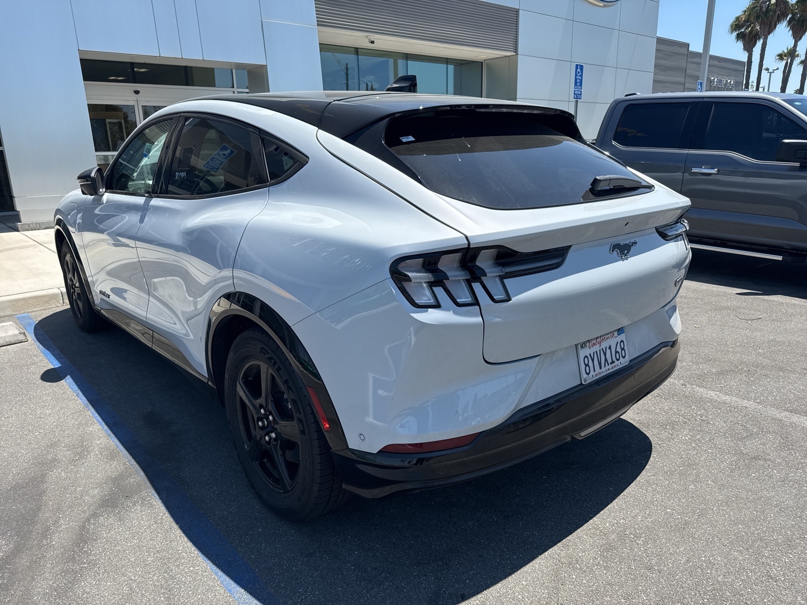 Used 2021 Ford Mustang Mach-E California Route 1 RWD with VIN 3FMTK2R72MMA47676 for sale in Long Beach, CA
