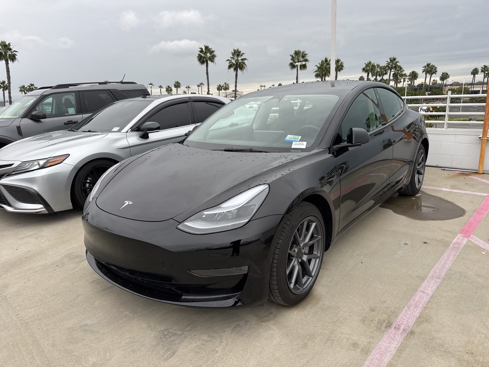 2023 Tesla Model 3 Base's photo