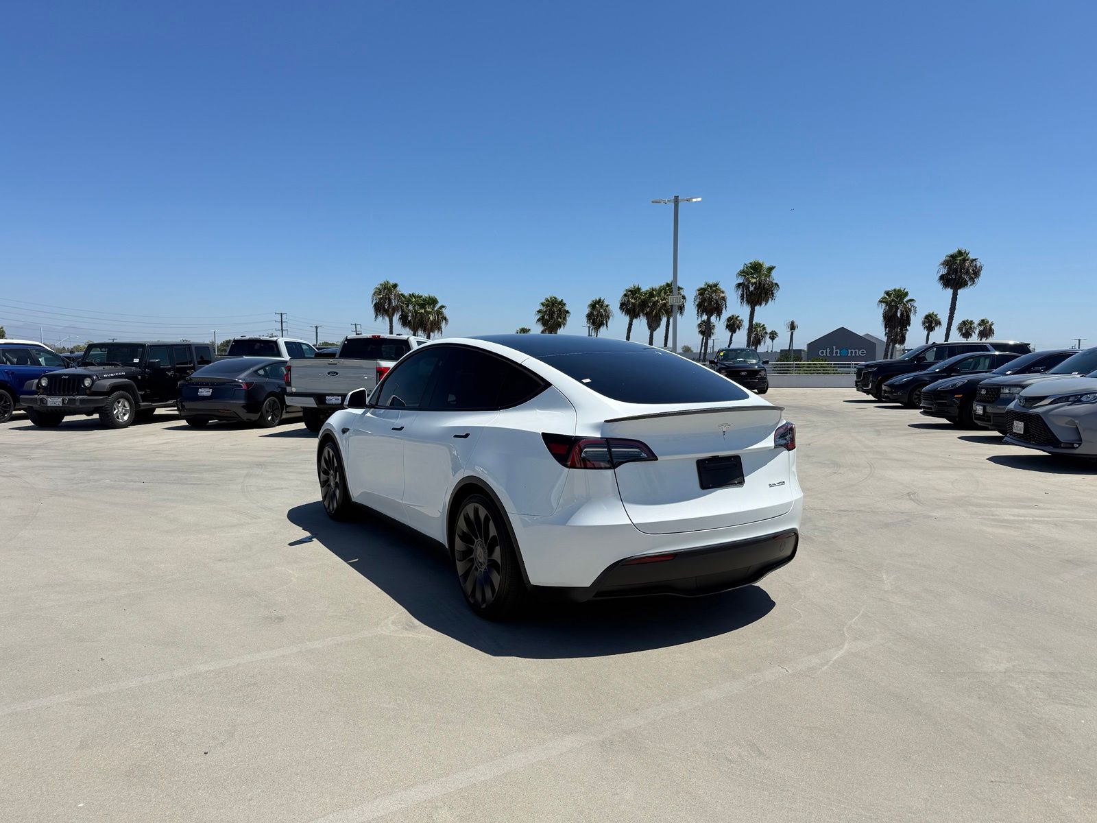 Used 2025 Tesla Model Y Performance with VIN 7SAYGDEF5SF249582 for sale in Long Beach, CA