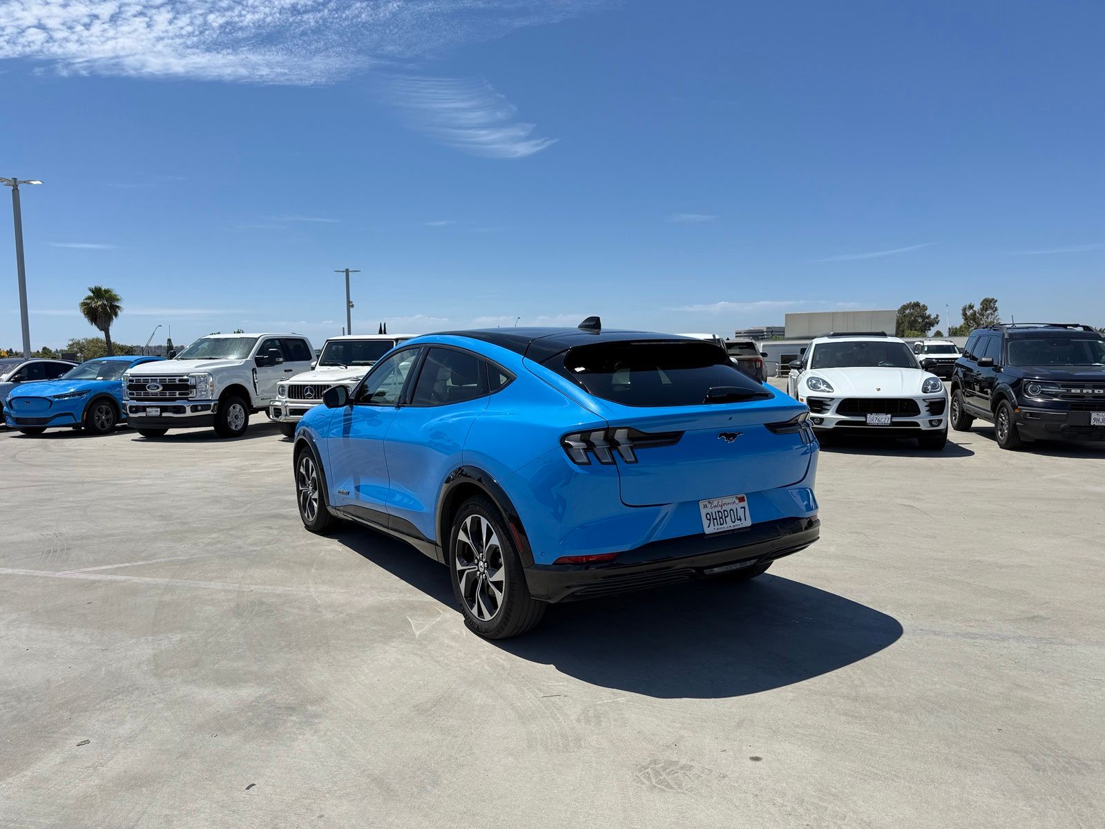 Used 2023 Ford Mustang Mach-E Premium RWD with VIN 3FMTK3R70PMA59934 for sale in Long Beach, CA