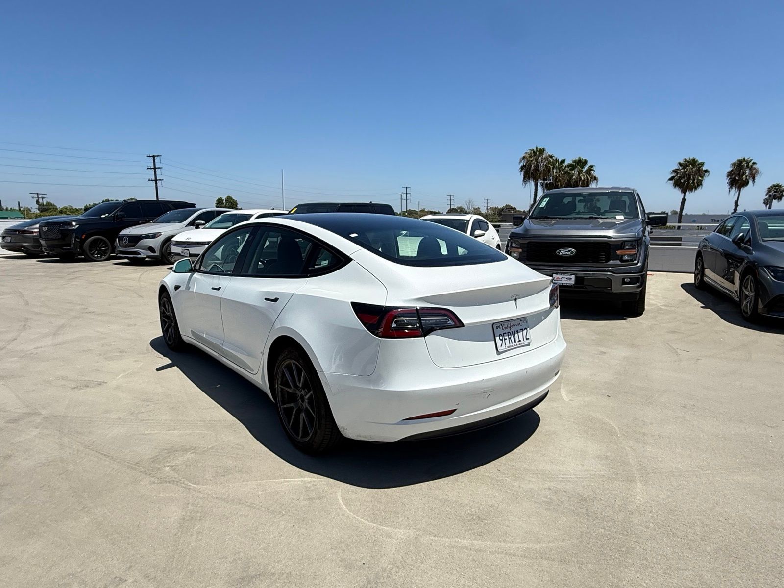 Used 2023 Tesla Model 3 Base with VIN 5YJ3E1EA7PF544769 for sale in Long Beach, CA