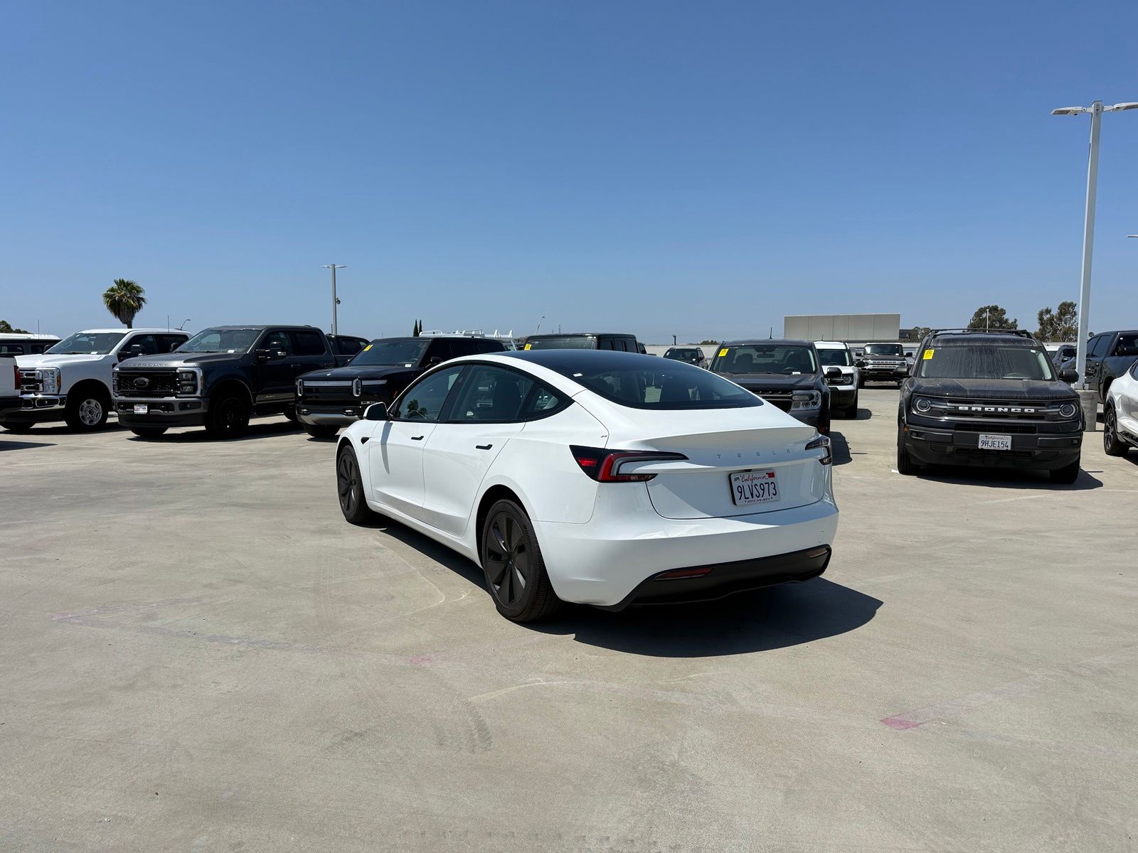 Used 2024 Tesla Model 3 Base with VIN 5YJ3E1EA3RF738976 for sale in Long Beach, CA