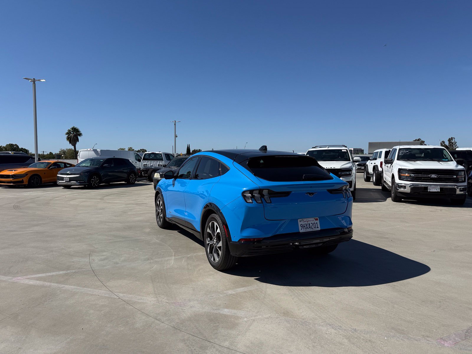 Used 2023 Ford Mustang Mach-E Premium RWD with VIN 3FMTK3RM5PMA48496 for sale in Long Beach, CA