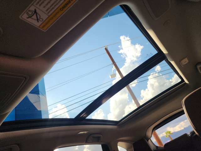 Photo 41