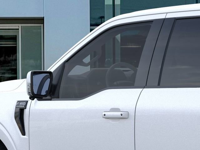 2025 Ford F-150 Platinum - Photo 20