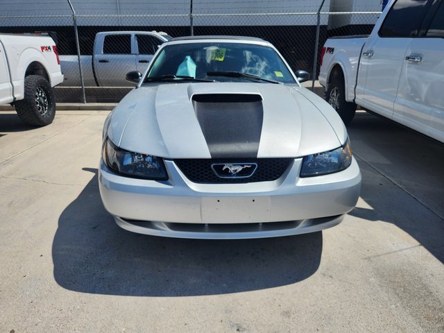 2004 Ford Mustang GT photo 2
