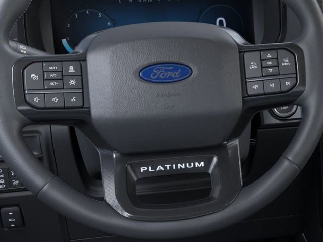 2025 Ford F-150 Platinum - Photo 12