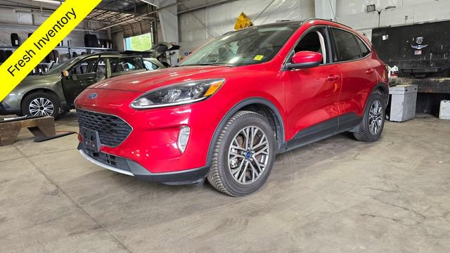 2020 Ford Escape SEL AWD 2.0L's photo