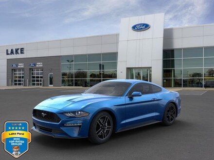 2021 Ford Mustang Ecoboost Fastback Car