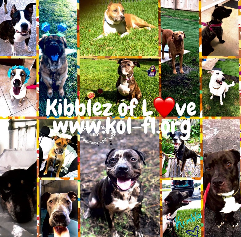 Kibblez of Love West Palm Beach FL 