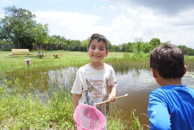 Protect Local Wildlife With Sawgrass Nature Center Wildlife Hospital Audi West Palm Beach