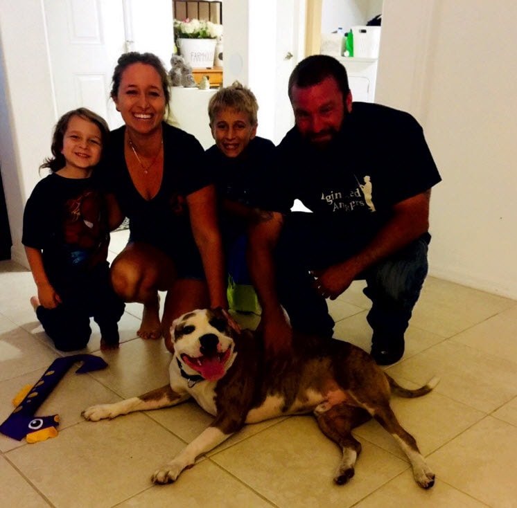 Dog Fostering near West Palm Beach FL 