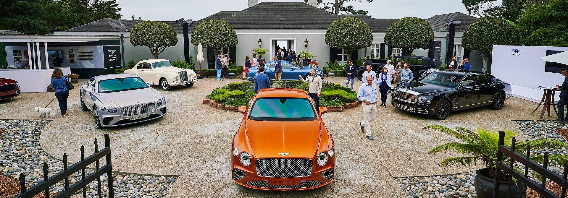 Luxury Cars for Sale Near Me.jpg