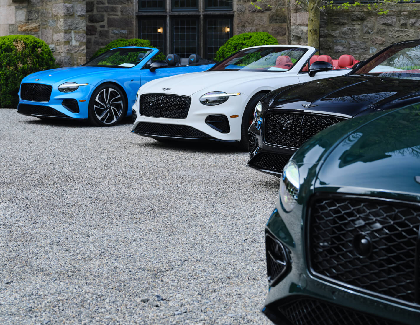 Dynamic outdoor lineup view of 2026 Bentley line up models, parked on a gravel driveway.