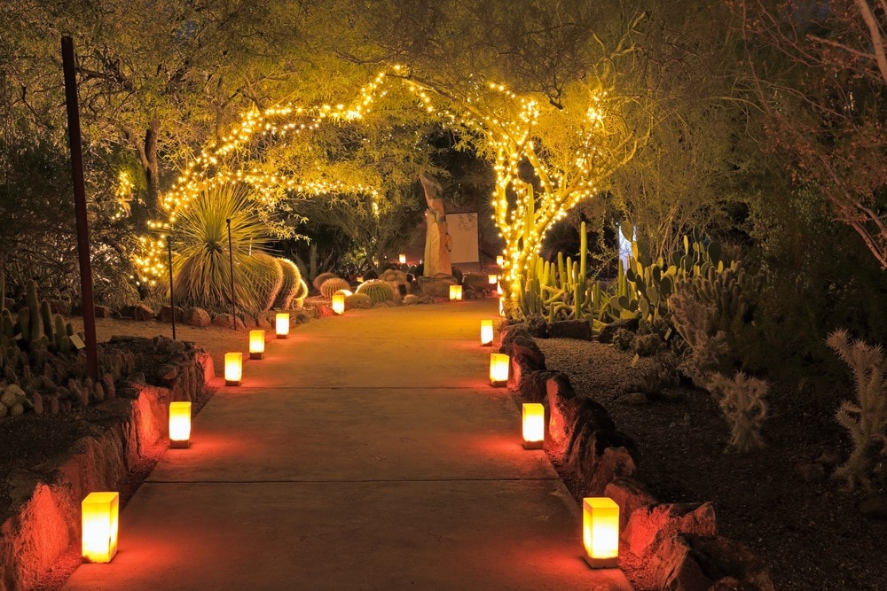 Christmas Light Display in Miami, FL
