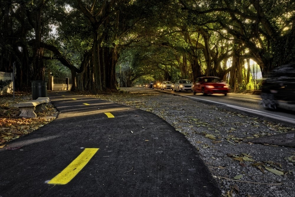 Old Cutler Road in Miami, FL