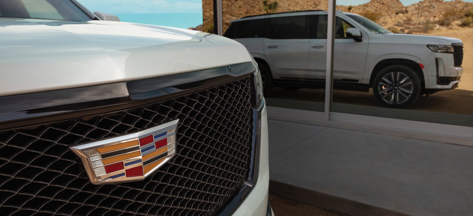 SPORT GRILLE
