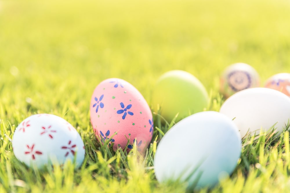 Eggs