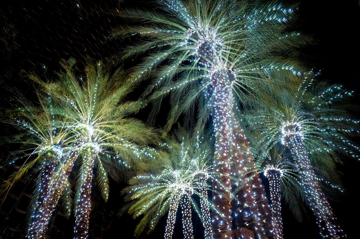 Fantasy Lights  Palm Coast , FL 32164