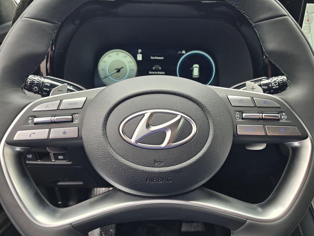 2025 Hyundai Palisade Calligraphy Night Edition - Photo 18