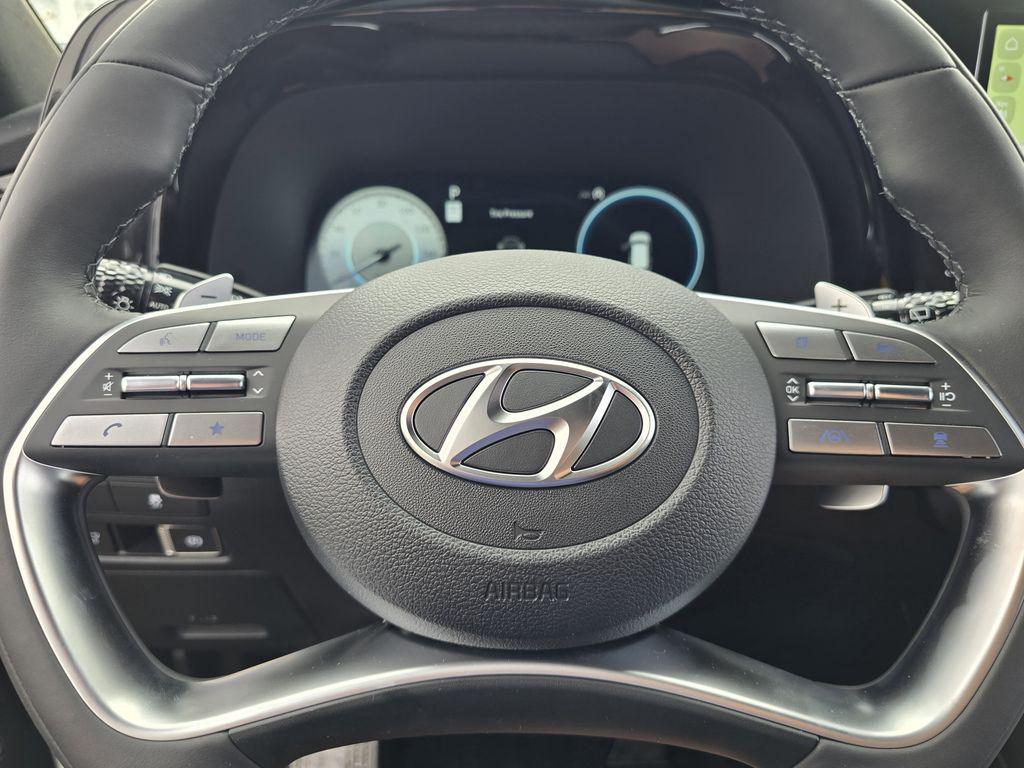 2025 Hyundai Palisade Calligraphy Night Edition - Photo 18