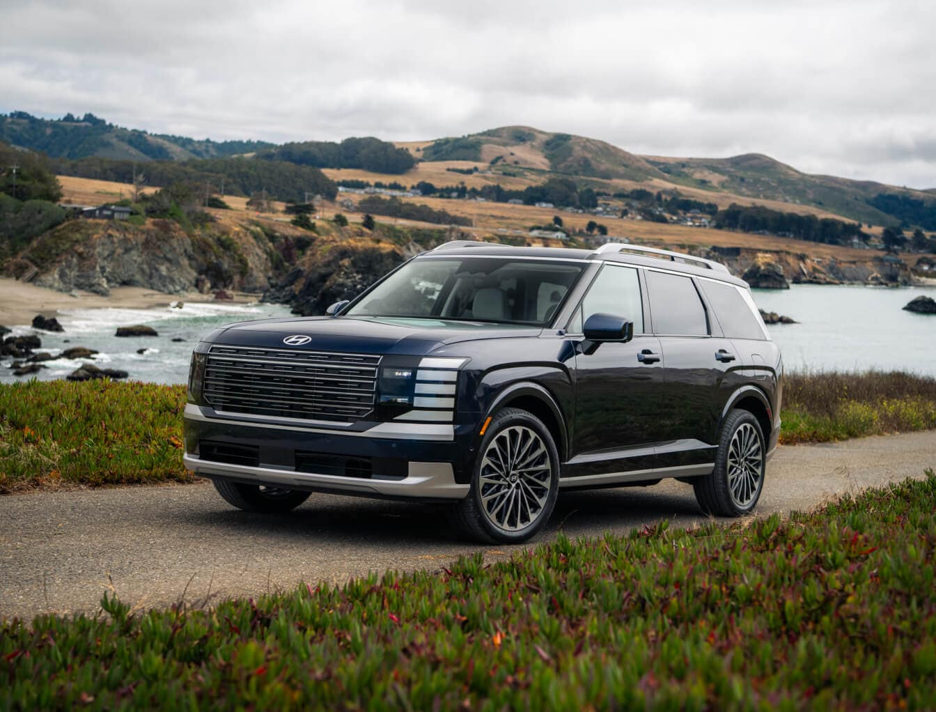 Front three-quarter view of a dark blue Hyundai Palisade Calligraphy on a coastal road overlooking the ocean.