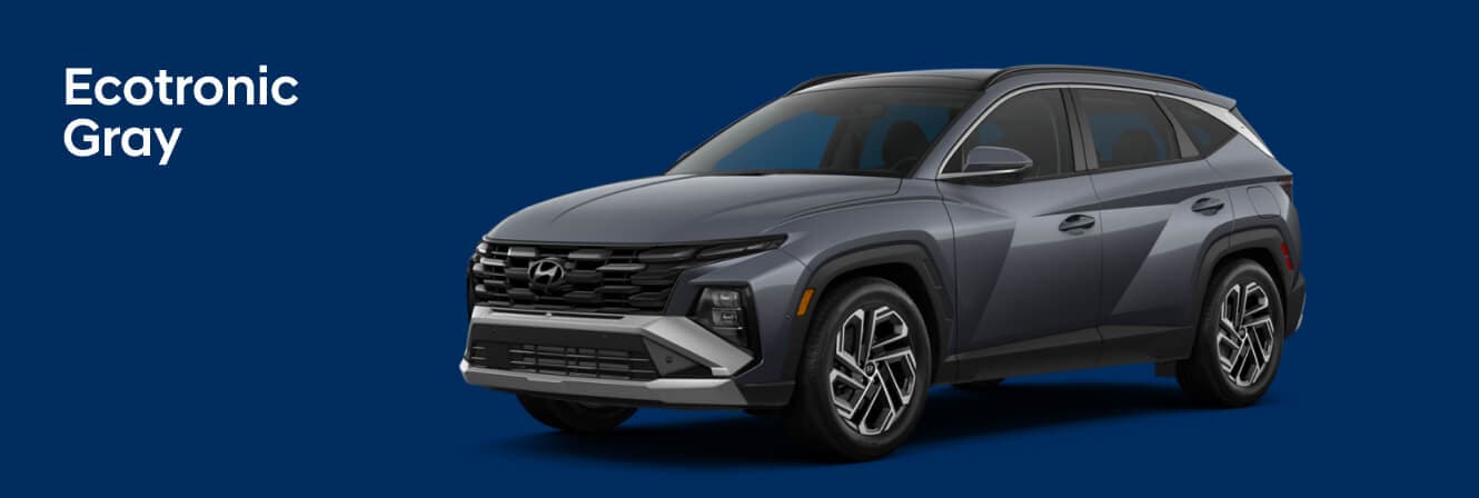 Ecotronic Gray