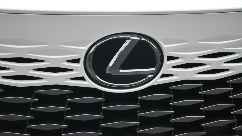 2025 Lexus RX 350 - Photo 19