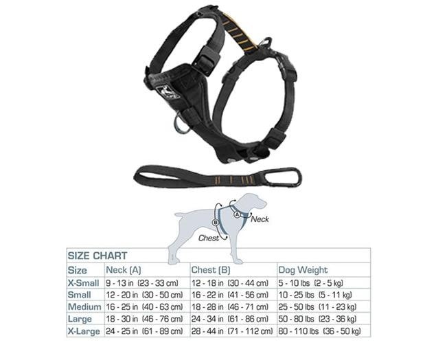 Harness with Seatbelt Tether