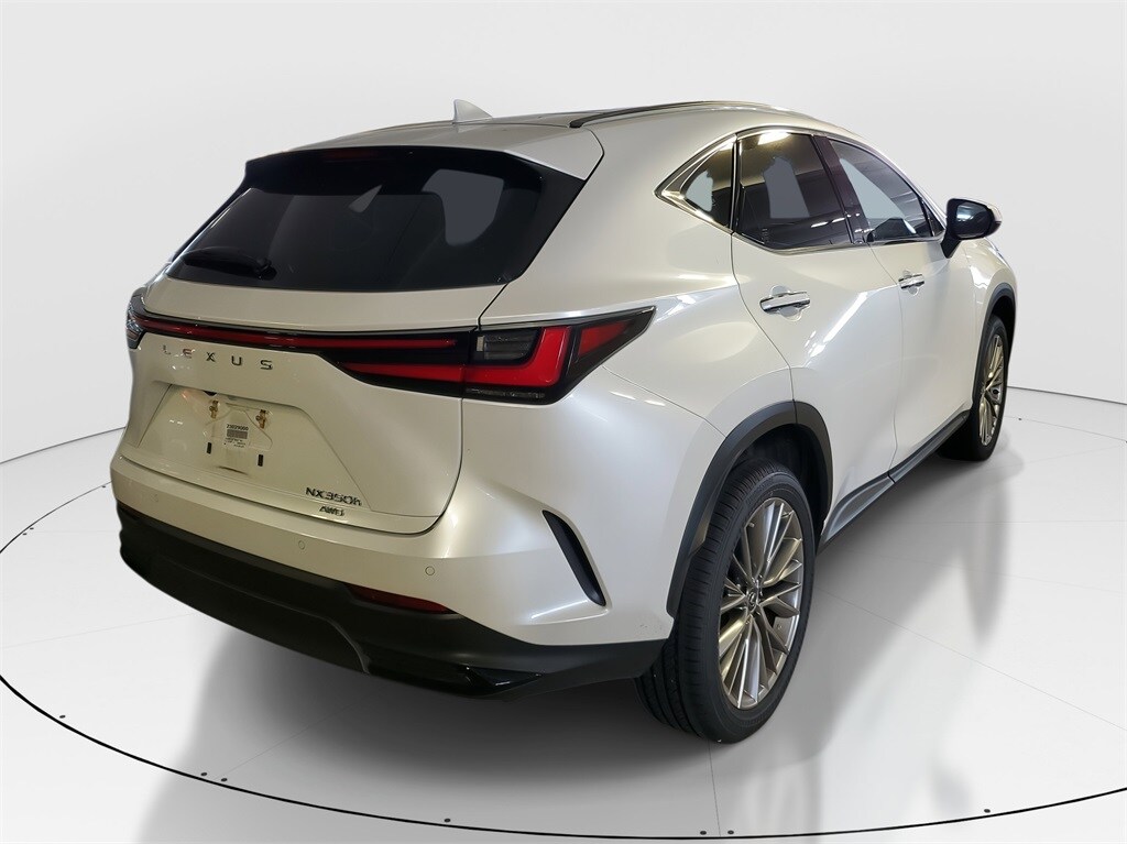 2023 Lexus NX 350h Luxury photo 3
