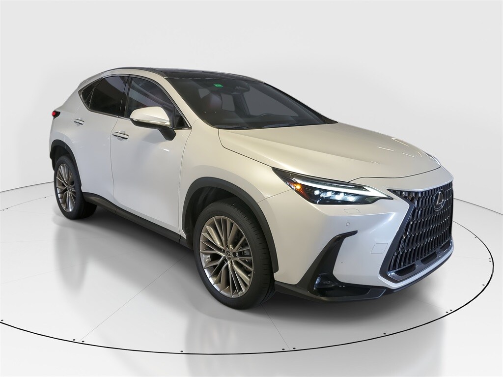 2023 Lexus NX 350h Luxury photo 2